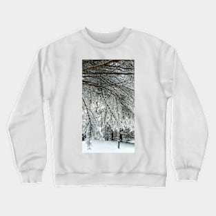 Under the Trees Con'td Crewneck Sweatshirt